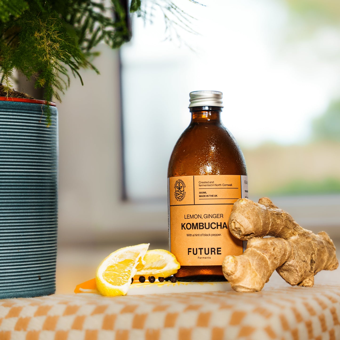 Lemon Ginger Kombucha Case x 6