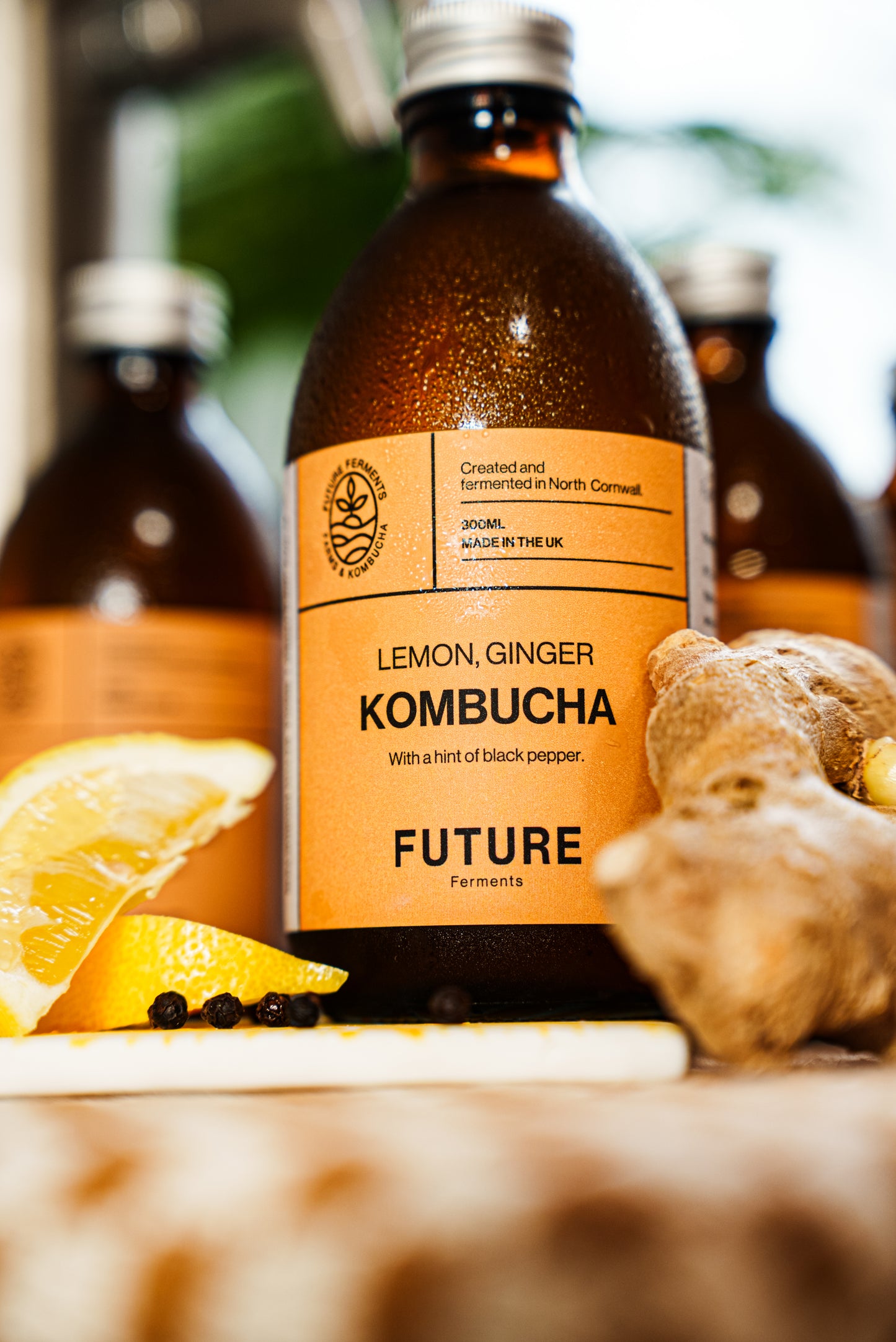 Lemon Ginger Kombucha Case