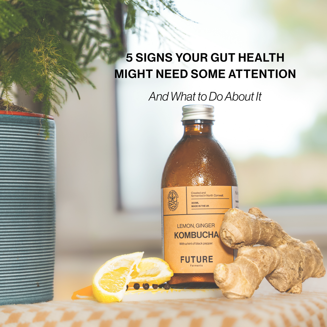 5 Signs Your Gut Health Might Need Some Attention (And What to Do About It)