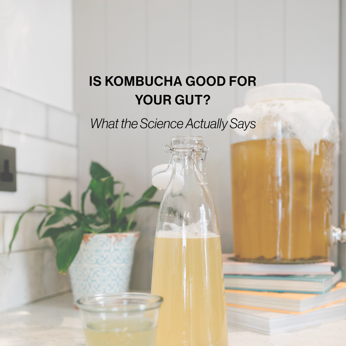 Is Kombucha Good for Your Gut? What the Science Actually Says
