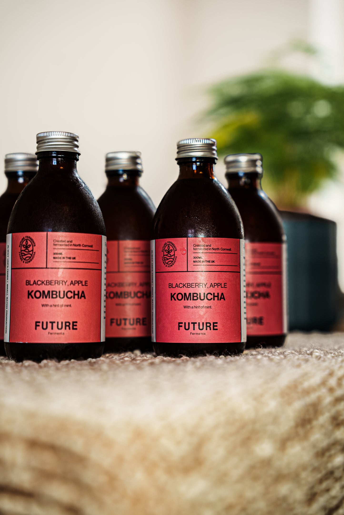 Blackberry Apple Mint Kombucha Case