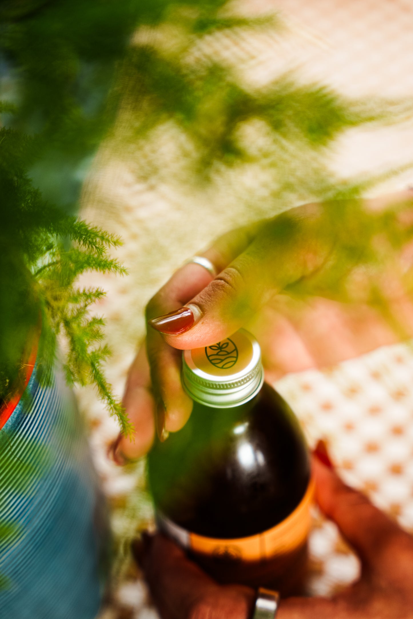 Lemon Ginger Kombucha Case