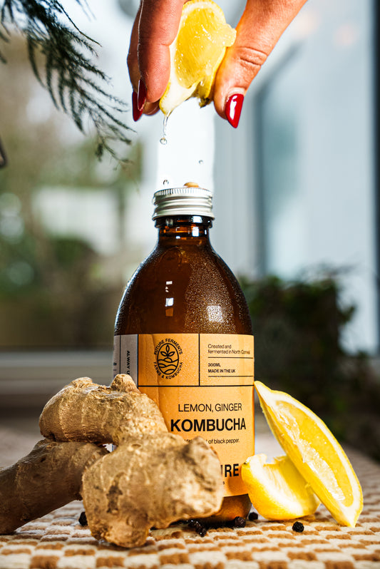 Lemon Ginger Kombucha Case