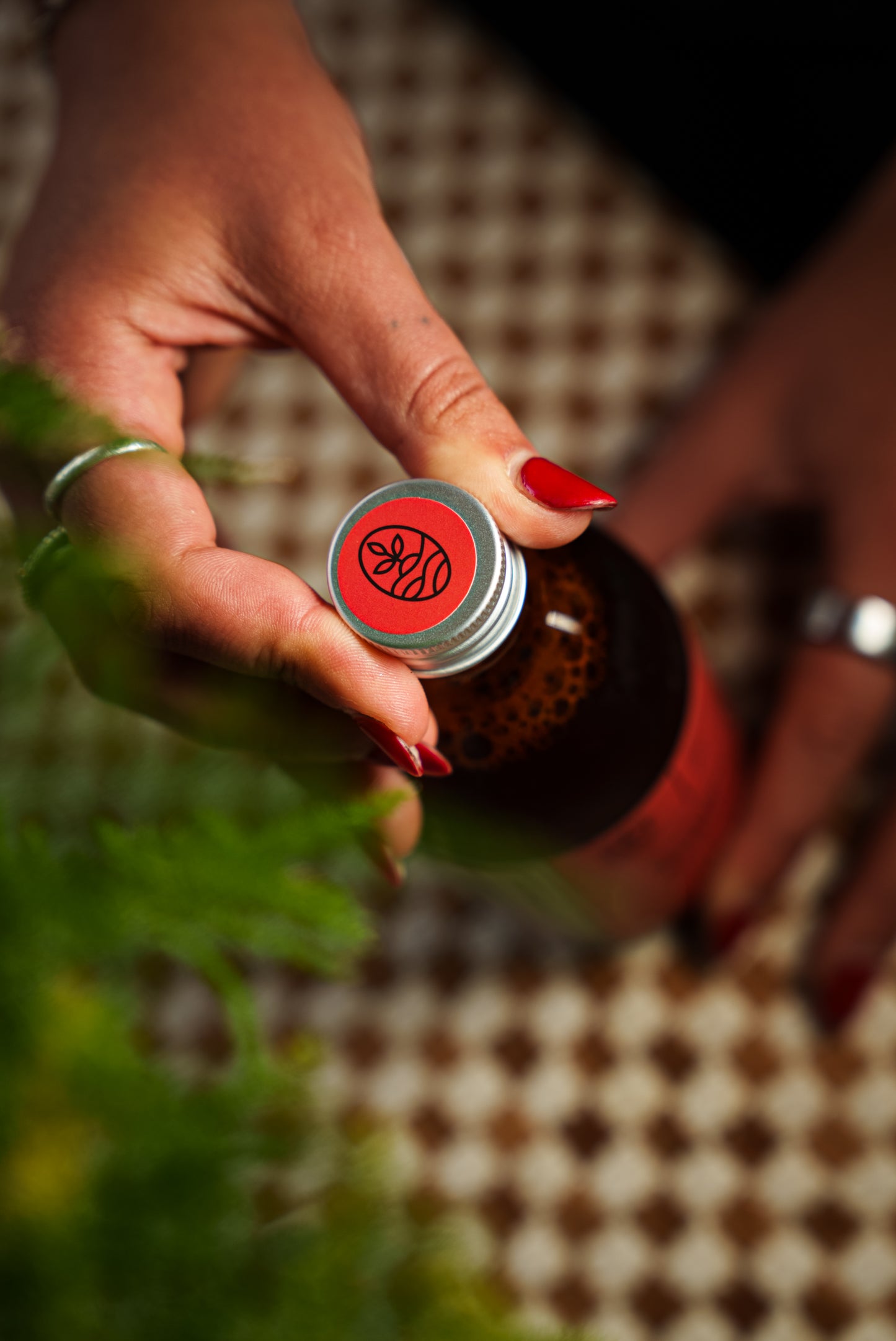 Blackberry Apple Mint Kombucha Case