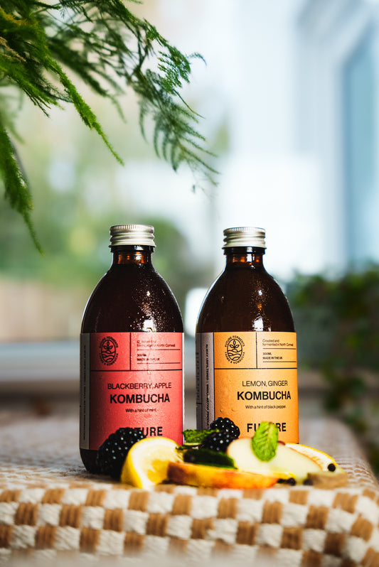 Kombucha Mixed Case